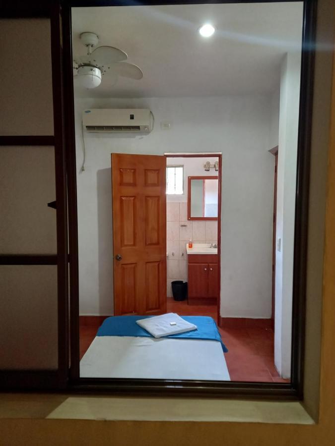 Hostal Don Gato Granada Ngoại thất bức ảnh