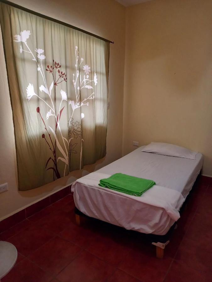 Hostal Don Gato Granada Ngoại thất bức ảnh